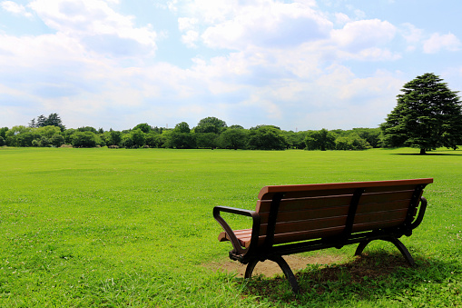 Empty wooden bench in a park with grass and trees and a pedestrian walkway in front.