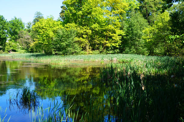 istock small lake near Radun castle 1078362104