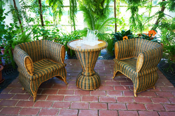 istock small winter garden with tropical plants 1078362116