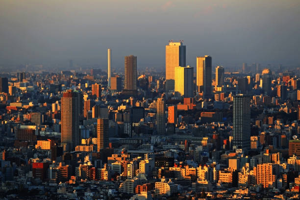 istock Panoramic view of Tokyo at dusk 1078364410