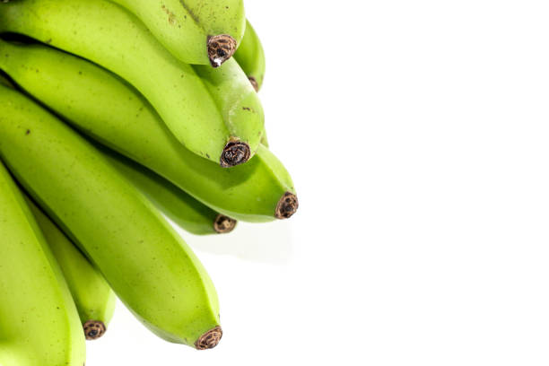 Fresh green banana on tree