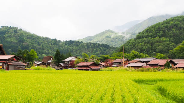 istock Summer Japanese Countryside 1078371086