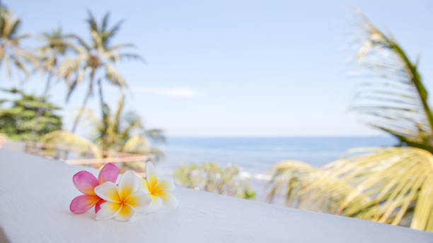 istock Flowers against the sea. 1078385194