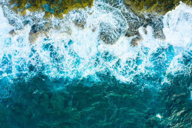 istock A bird's-eye view of the wave. 1078385750