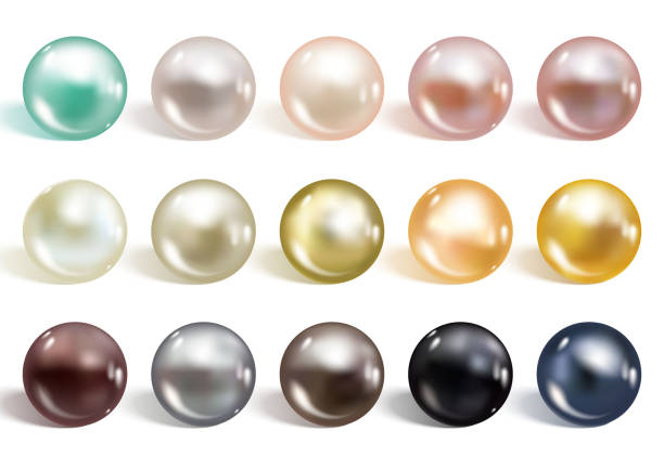 realistische verschiedene farben perlen set. rundes perlmutt bildete sich in der schale einer perlmuschel, einem kostbaren edelstein. vektorillustration - pearl oyster shell white stock-grafiken, -clipart, -cartoons und -symbole