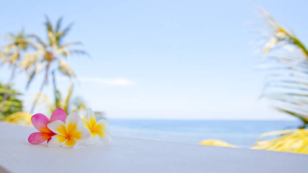 istock Flowers against the sea. 1078393380