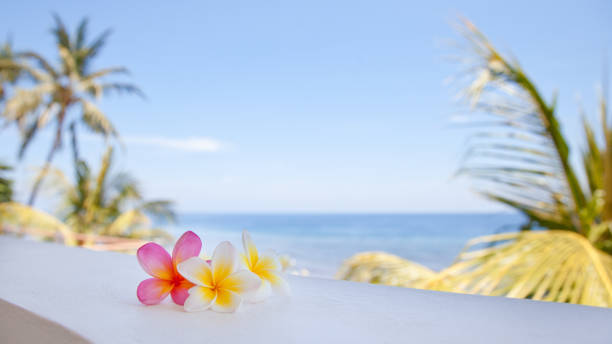 istock Flowers against the sea. 1078393510