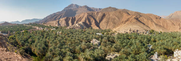 istock Birkat Al Mawz, Hajar Mountains, Oman 1078394800