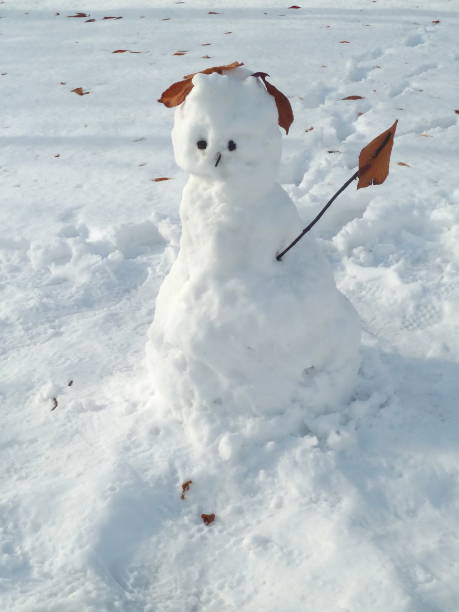 istock Snowman  standing with dry branch with leaves 1078395732