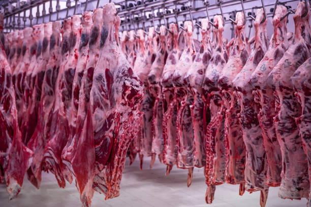 istock The meat processing plant. carcasses of beef hang on hooks. 1078414808