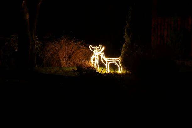 A small santa claus´s reindeers created from small bulbs lighting on the garden