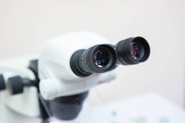 istock scientist working at the laboratory 1078423386