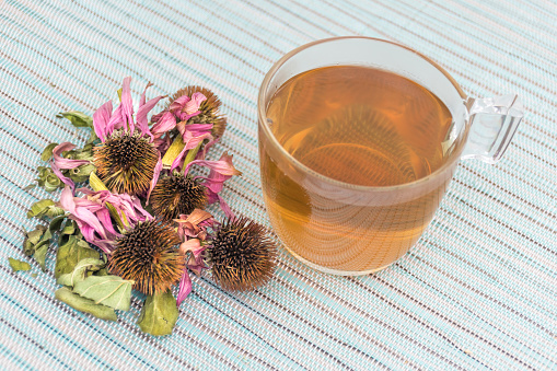 Cup of Echinacea Tea