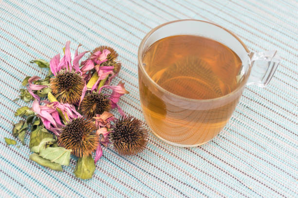 Cup of Echinacea Tea Cup of Echinacea Tea coneflower stock pictures, royalty-free photos & images