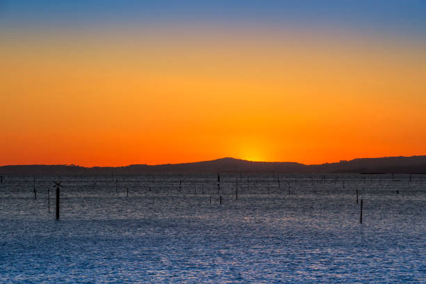 Carril clam aquaculture pond posts in Vilagarcia de Arousa at red dusk with Barbanza mountain range in the background