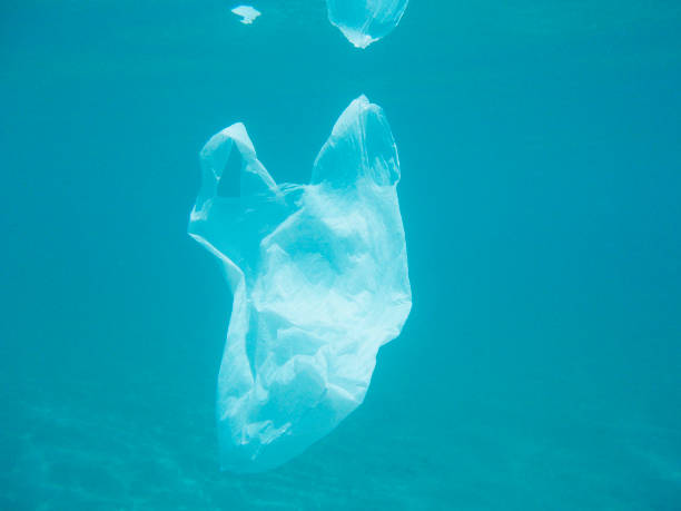 istock Plastic bag floating into the sea. Polluted environmental. Recycle 1078424978