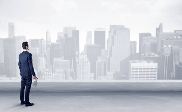 istock Businessman looking at a big city panorama 1078425218