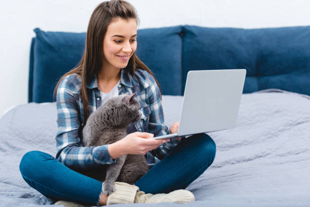 istock smiling young woman using laptop while sitting on bed with cute british shorthair cat 1078425394