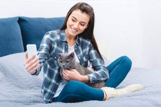 istock smiling young woman using smartphone and taking selfie with cute grey cat 1078425414