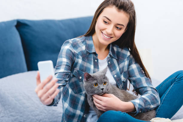 istock happy young woman using smartphone and taking selfie with cute grey cat 1078425418