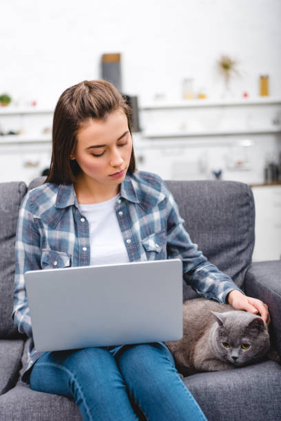 istock young woman using laptop and stroking grey cat at home 1078425506