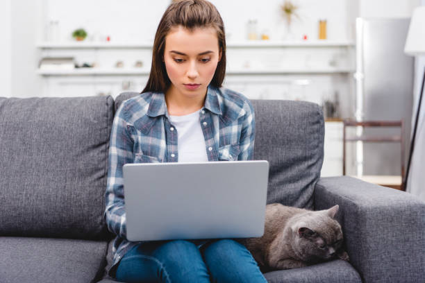 istock girl using laptop while sitting on couch with cute grey cat 1078425514