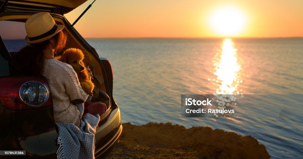 Voyageur de la femme avec chien assis dans le coffre de la voiture près de la mer, coucher du soleil. - Photo de Voiture libre de droits