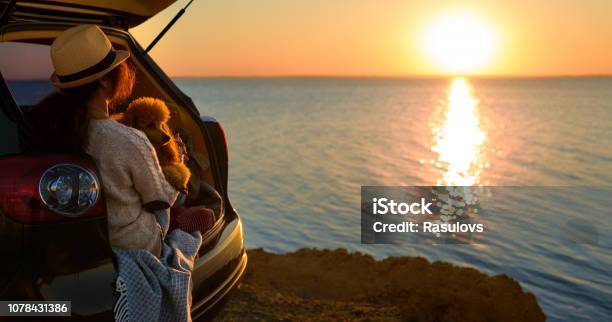 Photo libre de droit de Voyageur De La Femme Avec Chien Assis Dans Le Coffre De La Voiture Près De La Mer Coucher Du Soleil banque d'images et plus d'images libres de droit de Voiture