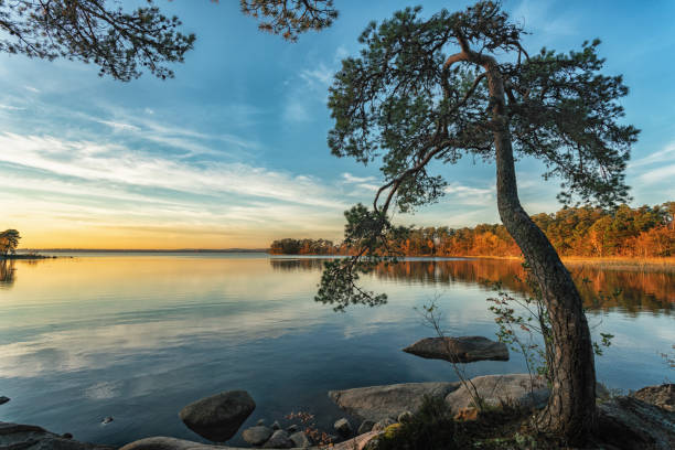 istock Autumn landscape on the lake at sunset time 1078433538