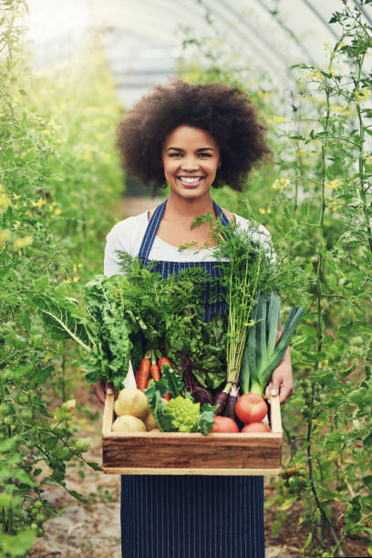 istock Everything on this farm is grown organically 1078447156