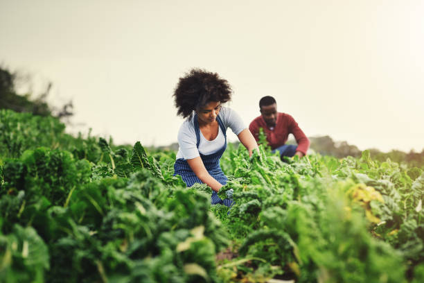 Shot of an attractive young female farmer with her husband in the background