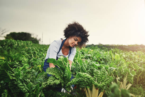 istock The grass is greener where you water it 1078447216