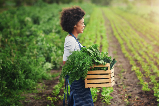 istock I started this farm with nothing but a dream 1078447230