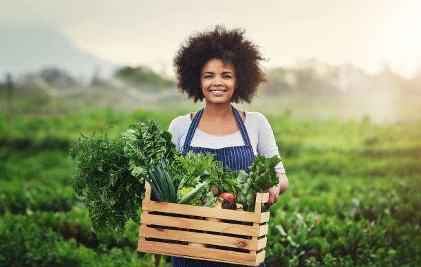 istock They're packed with plenty of nutrients 1078447238