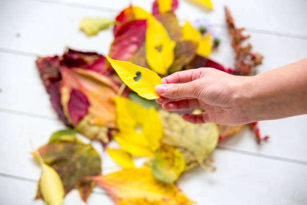 istock Autumn composition made of fallen leaves on white background 1078448944
