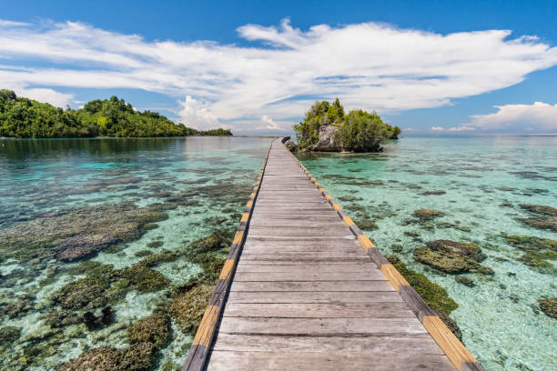 most łączący z główną wyspą z wioski cygańskiej na wyspach togijskich w celebes, indonezja - beach sunrise waterbreak sea zdjęcia i obrazy z banku zdjęć