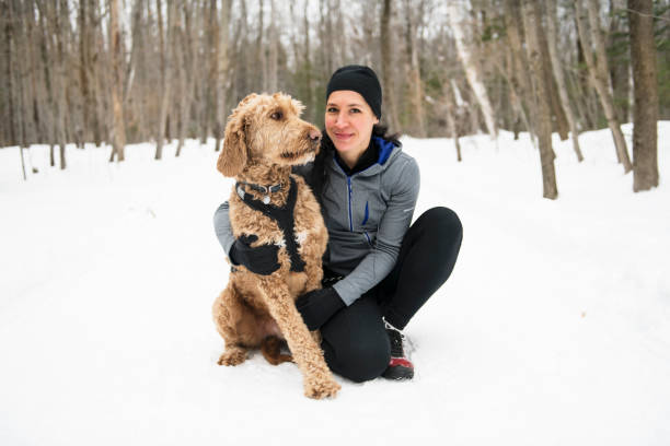 istock A Nice Woman with goldendoodle winter season 1078465728