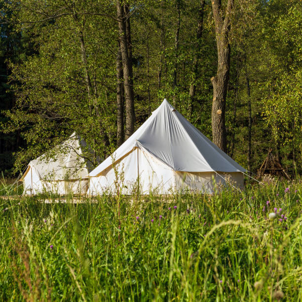 istock Traditional canvas bell tent outdoors in woods 1078472248
