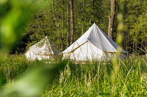 Two white bell tents outdoors at forest landscape