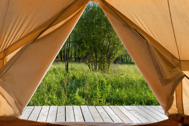 istock View from the canvas tent upon the green meadow 1078472350