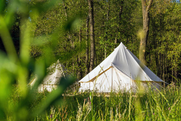 istock Traditional canvas bell tent outdoors in woods 1078472352