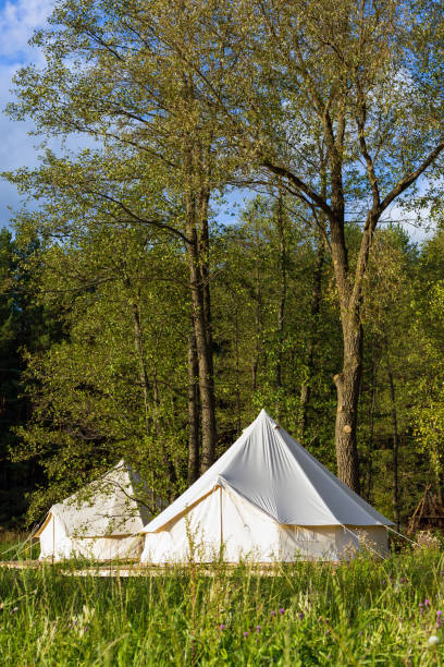 istock Canvas bell tents at the forest on a sunny day 1078472380