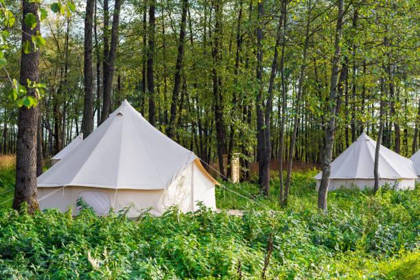 istock Group of glamping bell tents 1078472412