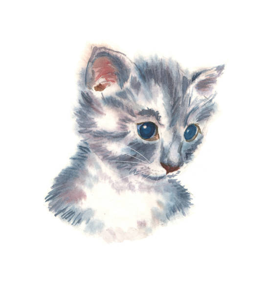 istock Kitten small gray watercolor illustration. Portrait 1078474936