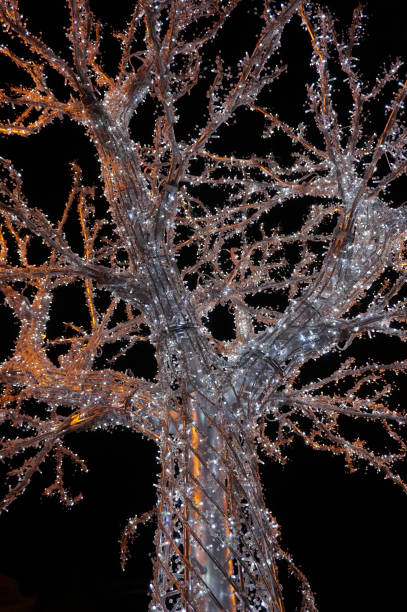 istock christmas tree in Ostrava city 1078476534