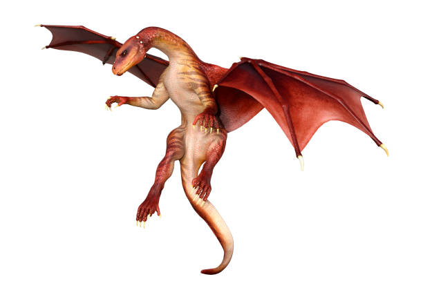 istock 3D illustration red fantasy dragon on white 1078476606