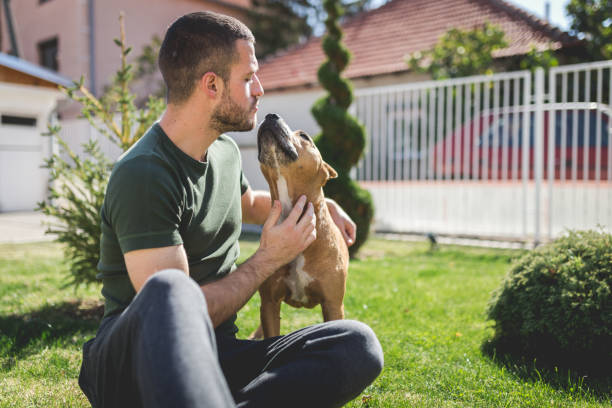 istock Man kissing his dog 1078478518