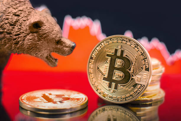 Bitcoin bearish price crash Bitcoin coins in a close-up shot, digital currency price crash concept. Slovenia,December 1st,2018. drop bear stock pictures, royalty-free photos & images
