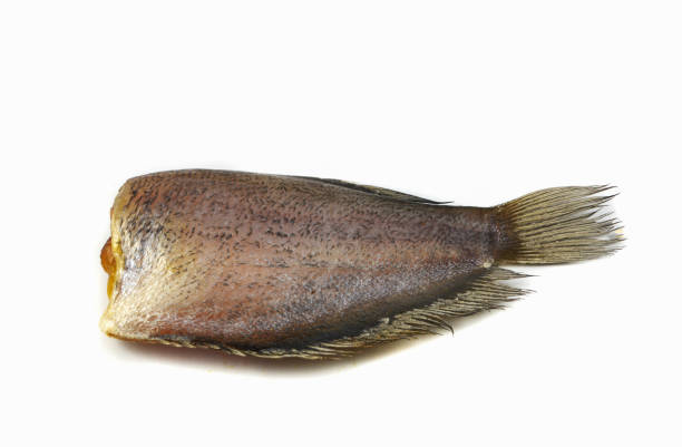 istock sun dried fish / trichogaster pectoralis fish dried with spawn isolated 1078484742