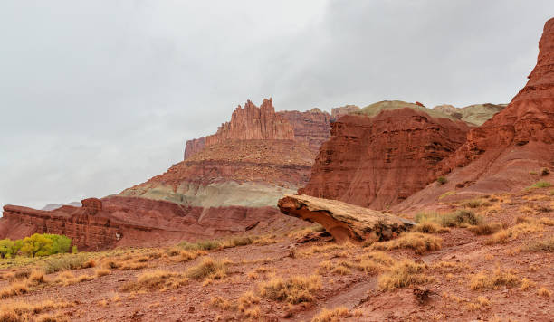 istock Capital Reef National Park 1078485586